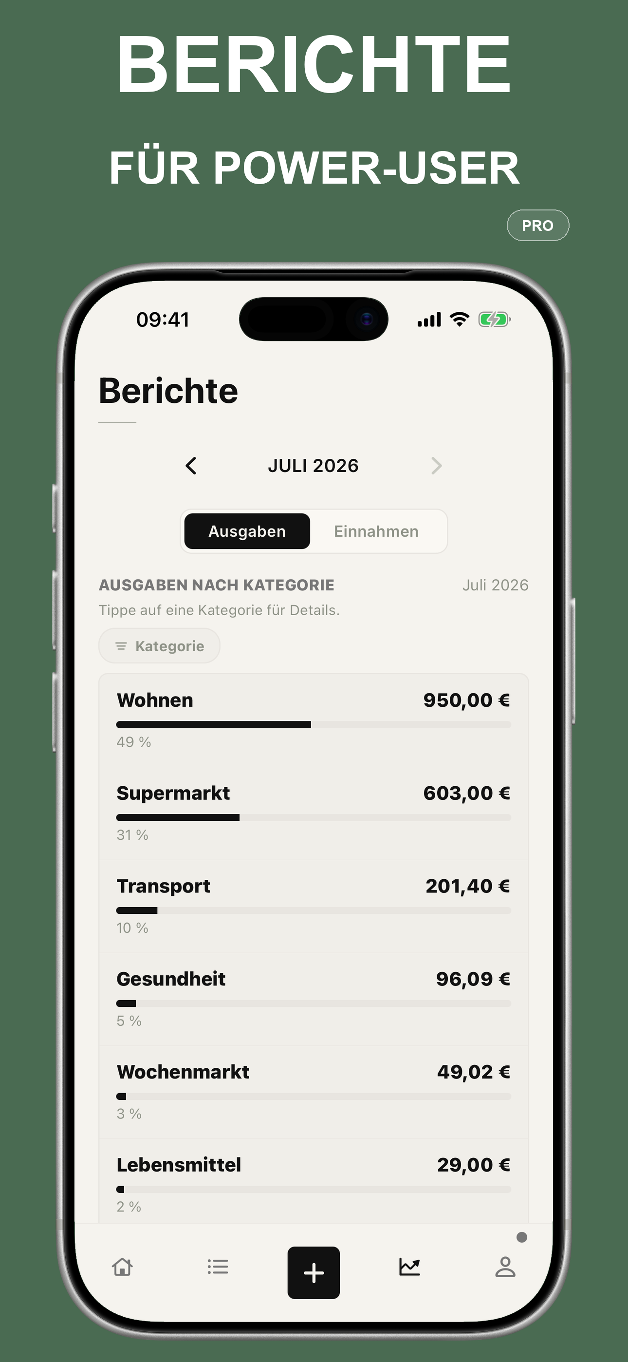 Pro-Bericht mit Ausgaben nach Kategorie
